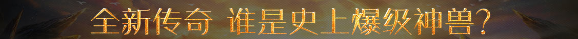 指数动态基金通